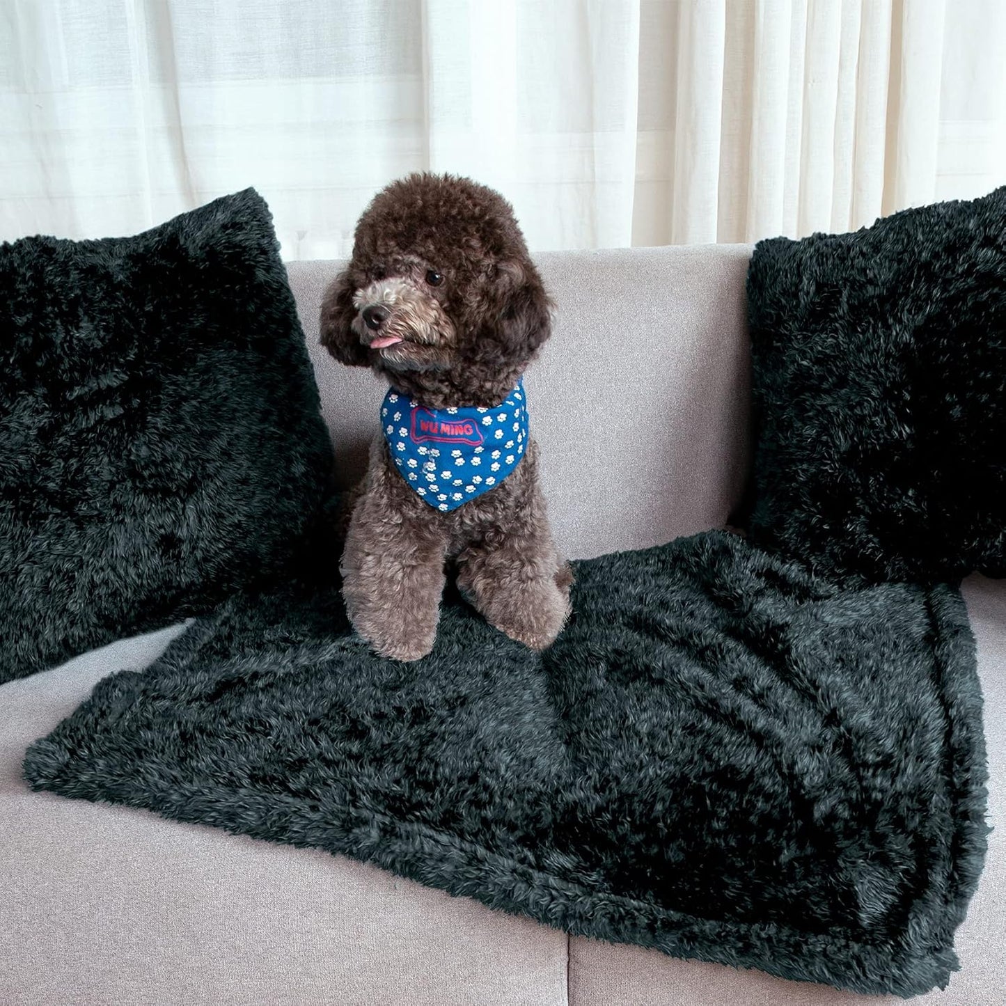Fluffy Fleece Dog Blankets,Warm Soft Fuzzy Pets Blanket for Puppy,Small,Medium,Large Dogs and Cats,Plush Pet Throws for Bed,Couch,Sofa,Travel (24X29 Inch, Black & Dark Green)