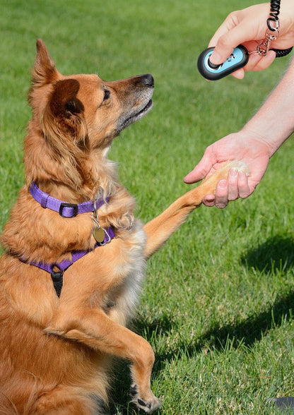 Pet Clicker for Dogs/Cats/Horses/Birds or Other Animals - Clickers for Training (Blue + Green)
