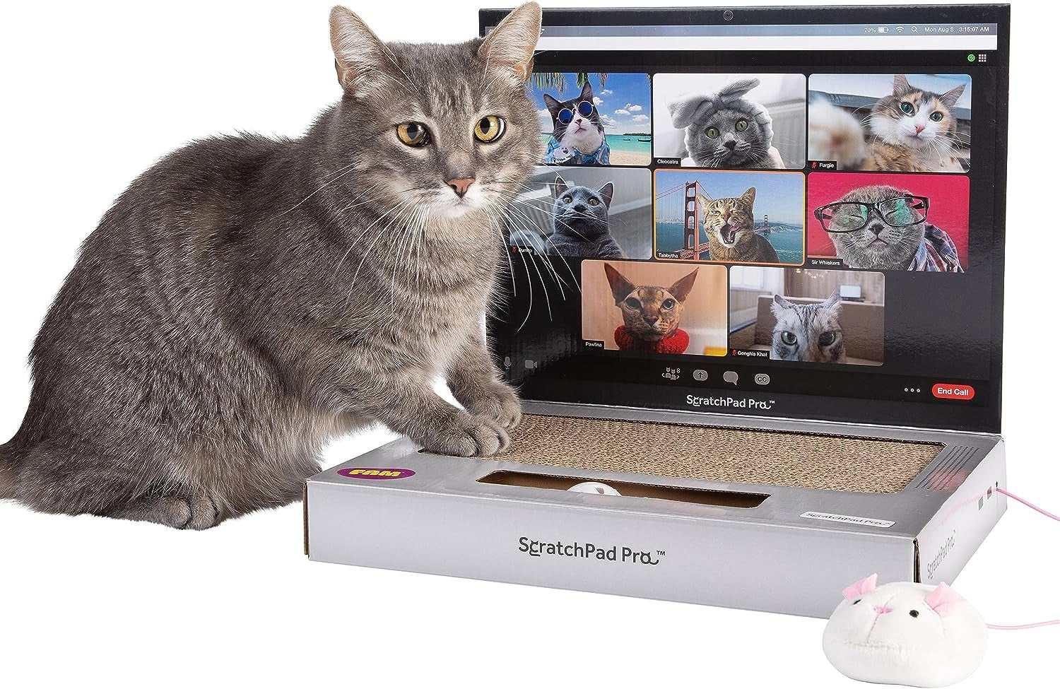 Scratchpad Pro — Cardboard Laptop Cat Scratcher, Interactive Cat Toys for Indoor Cats, Kitten Supplies and Cat Stuff by Relatable