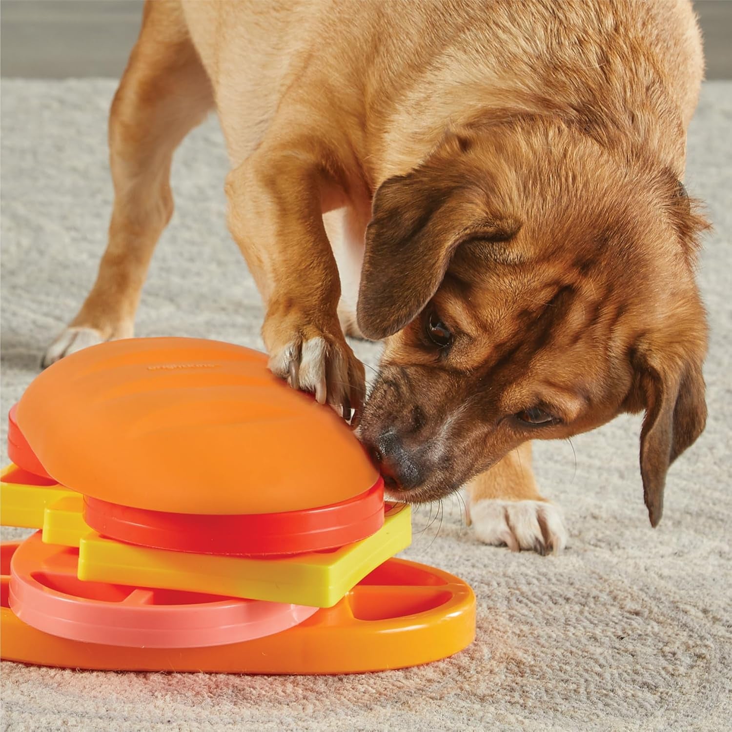 Pupstrami Surprise! Treat Puzzle - Dog Puzzle Toys, Interactive Dog Toys, Gifts for Dogs