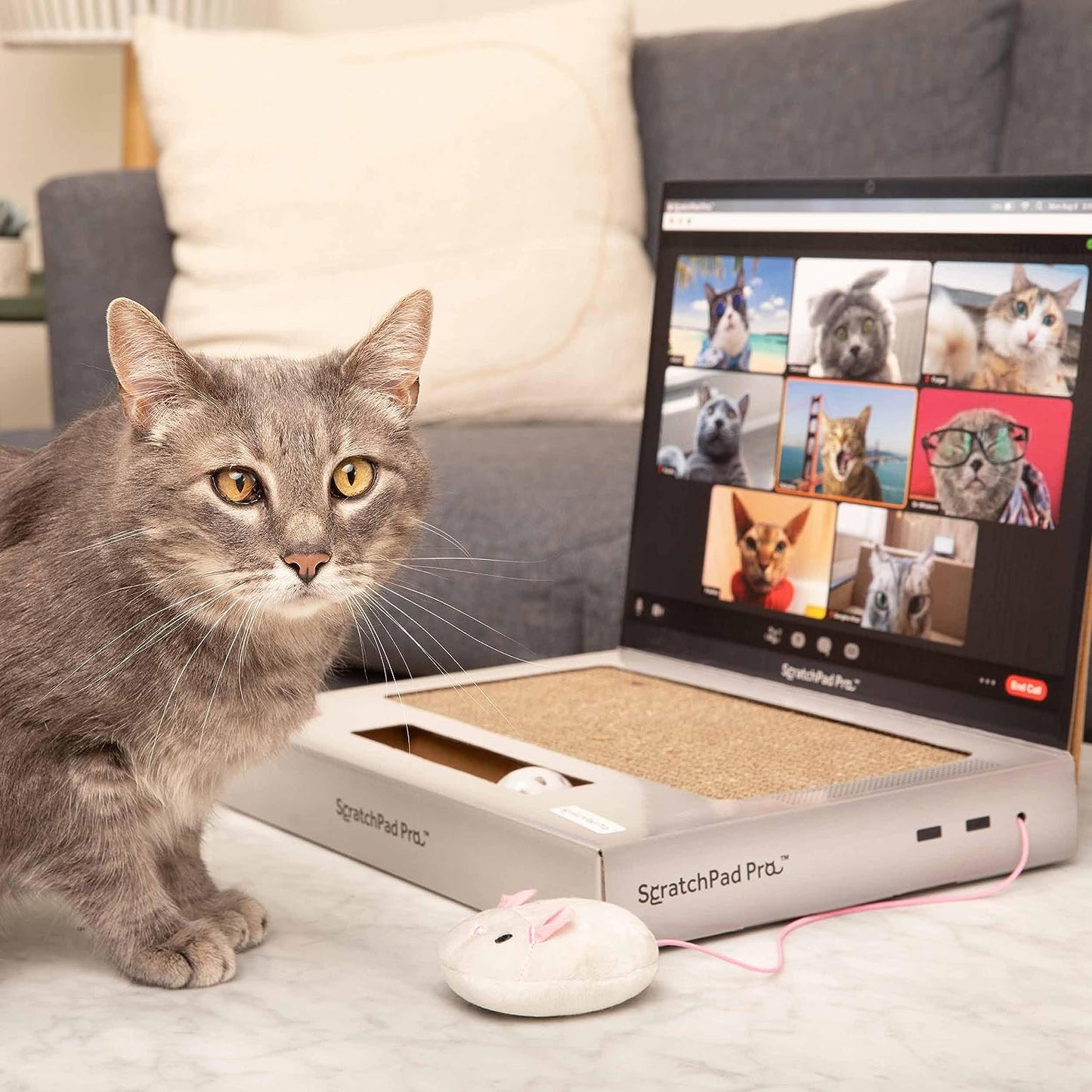 Scratchpad Pro — Cardboard Laptop Cat Scratcher, Interactive Cat Toys for Indoor Cats, Kitten Supplies and Cat Stuff by Relatable