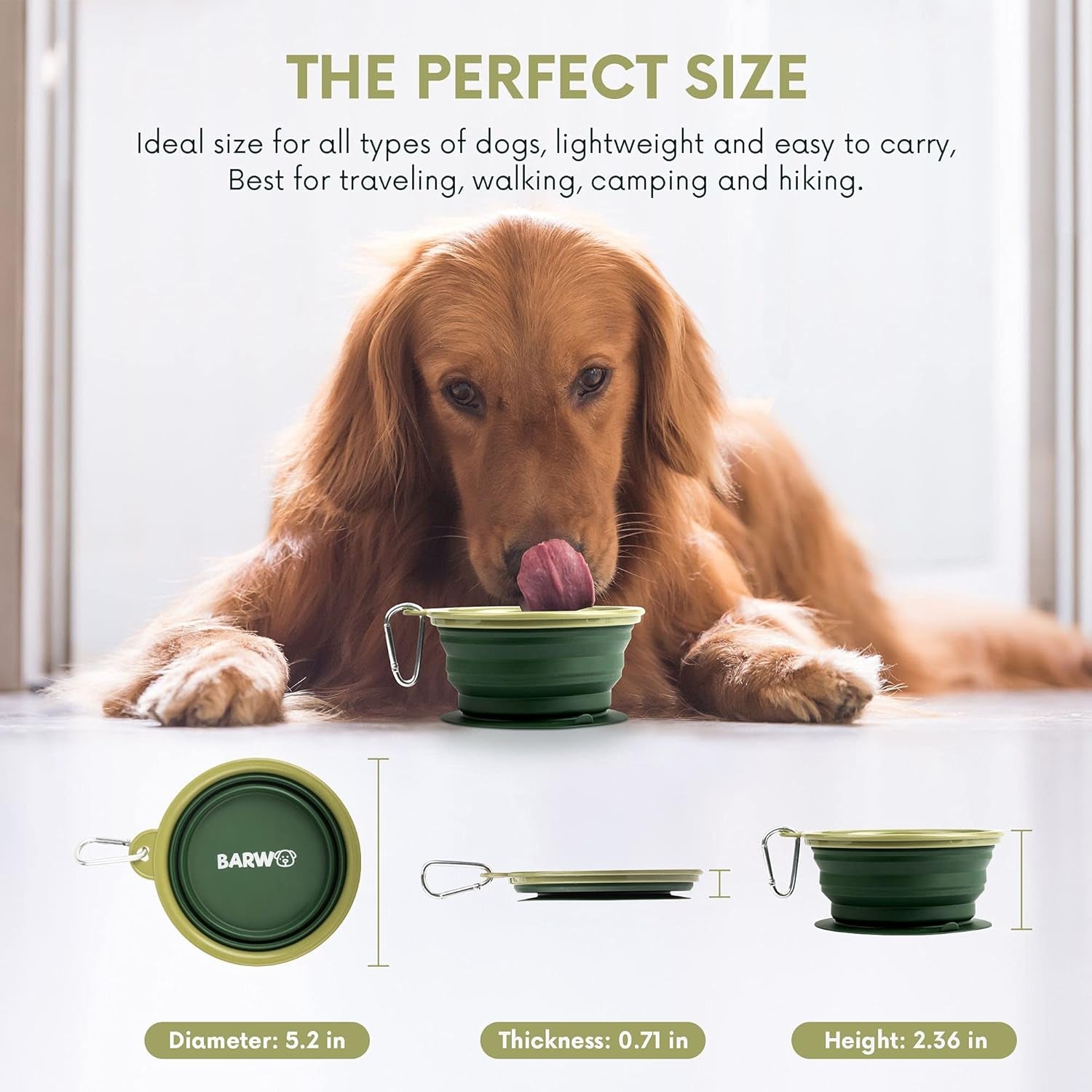 Collapsible Dog Bowl with Non Skid Suction Base -100% Pure Silicone Foldable Water Bowl, Portable Dog Bowl for Travel, Hiking & Camping 350Ml 1 Piece