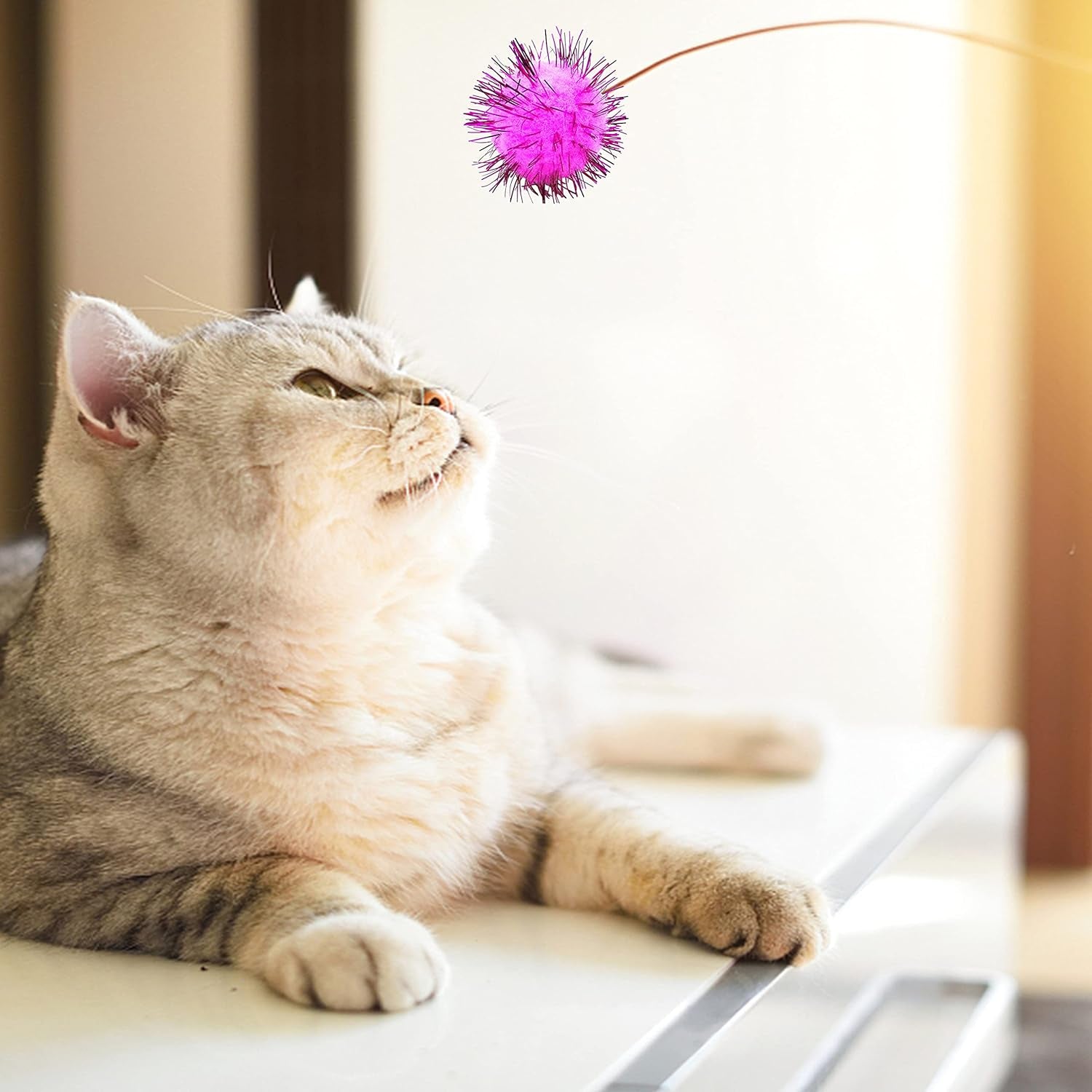 80 Pieces Cat Sparkle Balls Assorted Color 1 Inch Pom Poms Tinsel Cat Ball Toy Puff Balls Glitter Ball for Cats Kitten Toys for Indoor Cats and Crafts