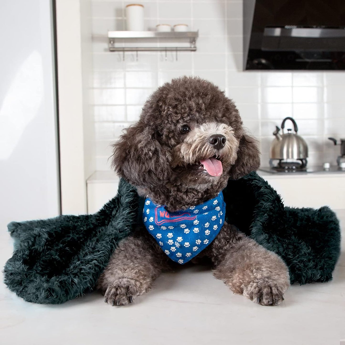 Fluffy Fleece Dog Blankets,Warm Soft Fuzzy Pets Blanket for Puppy,Small,Medium,Large Dogs and Cats,Plush Pet Throws for Bed,Couch,Sofa,Travel (24X29 Inch, Black & Dark Green)