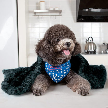 Fluffy Fleece Dog Blankets,Warm Soft Fuzzy Pets Blanket for Puppy,Small,Medium,Large Dogs and Cats,Plush Pet Throws for Bed,Couch,Sofa,Travel (24X29 Inch, Black & Dark Green)