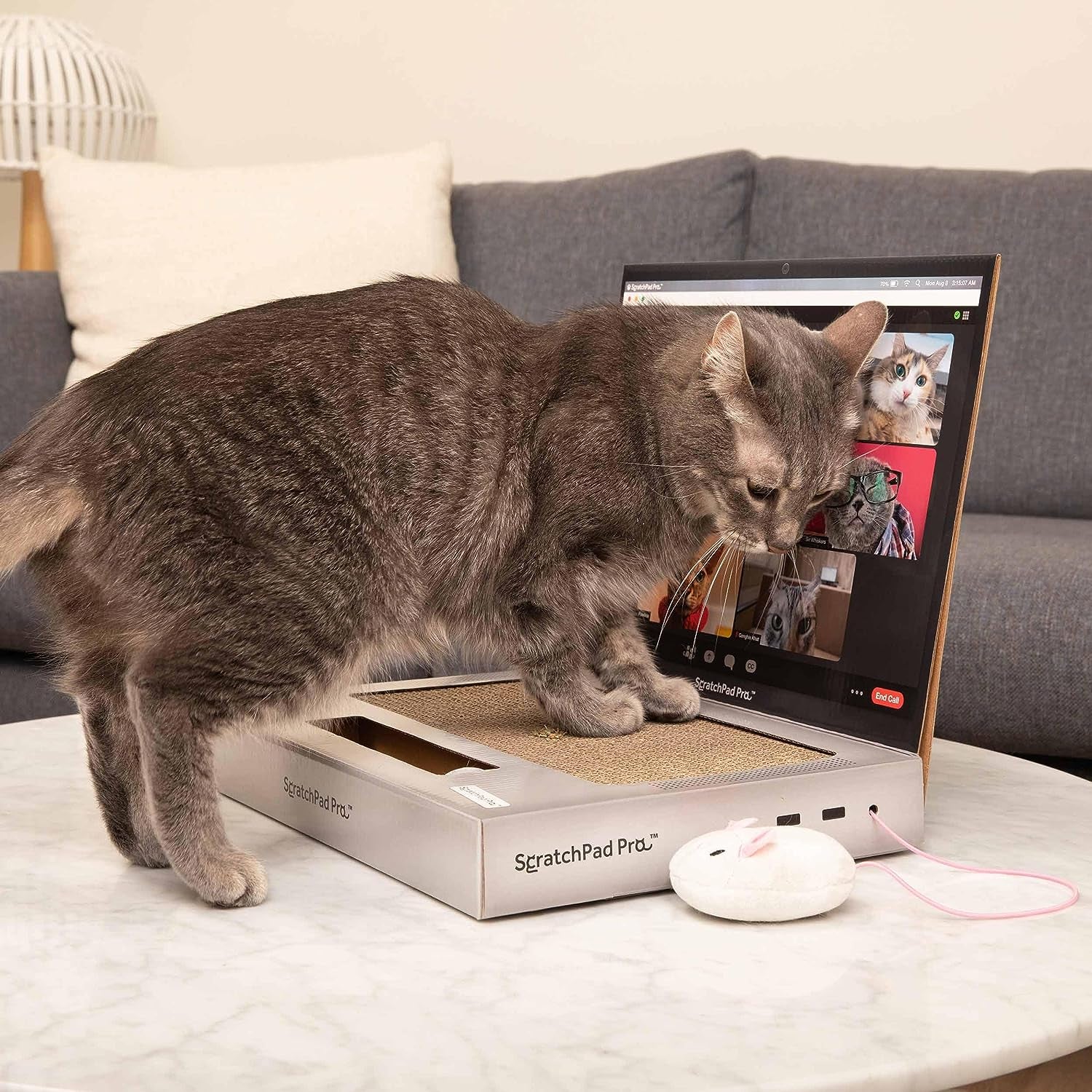 Scratchpad Pro — Cardboard Laptop Cat Scratcher, Interactive Cat Toys for Indoor Cats, Kitten Supplies and Cat Stuff by Relatable