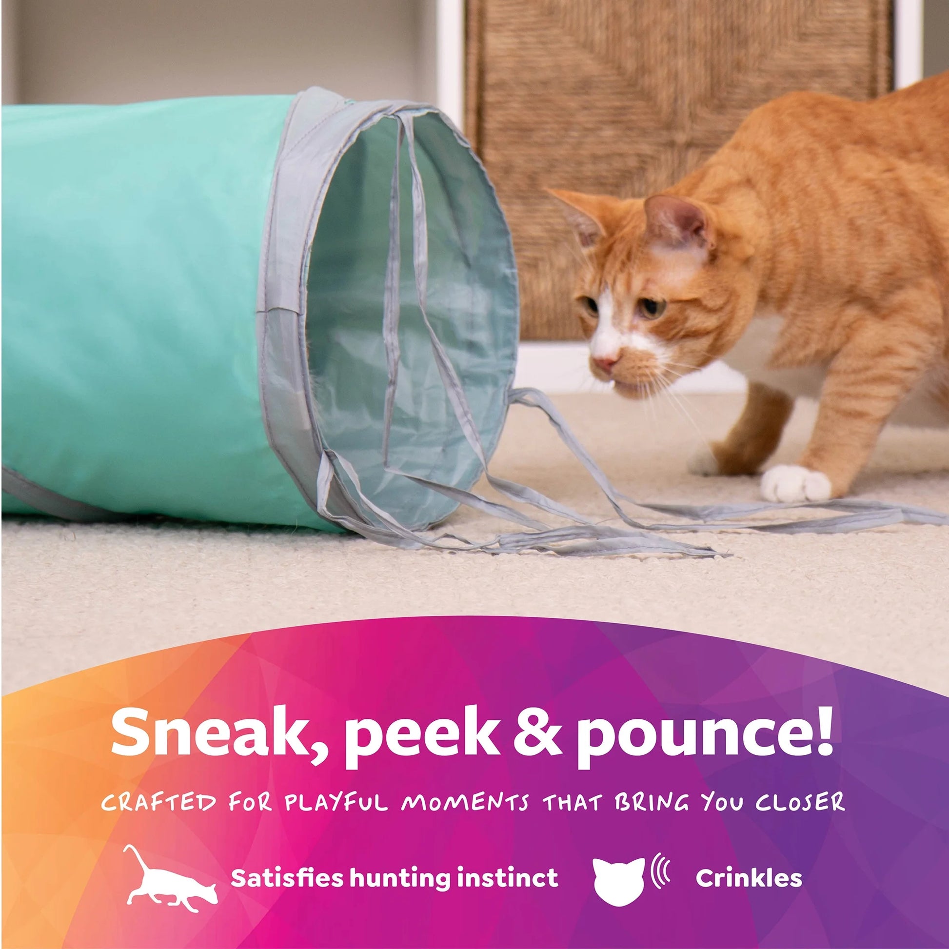 Crackle Chute Collapsible Tunnel Cat Toy with Crinkle Sound & Peek-A-Boo Window