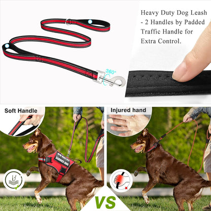 Service Dog Harness and Leash Set, Training Dog Vest with 10 Dog Patches, Emotional Support Therapy Dog Vest Harness for Small Medium Large and Extra Large Dogs(Red, L)