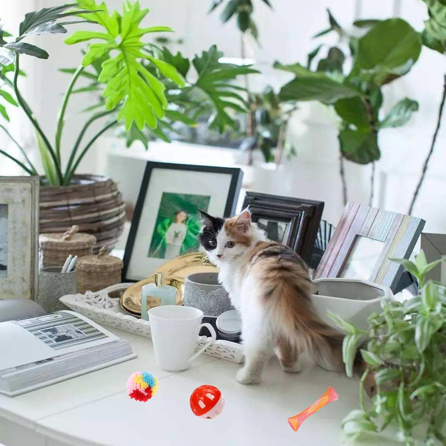 46 PCS Cat Toys for Indoor Cats, Kitten Toys with Cat Spring Toy, Mint Catnip with Crinkle Mouse Ball for Indoor Cats Kittens Exercise