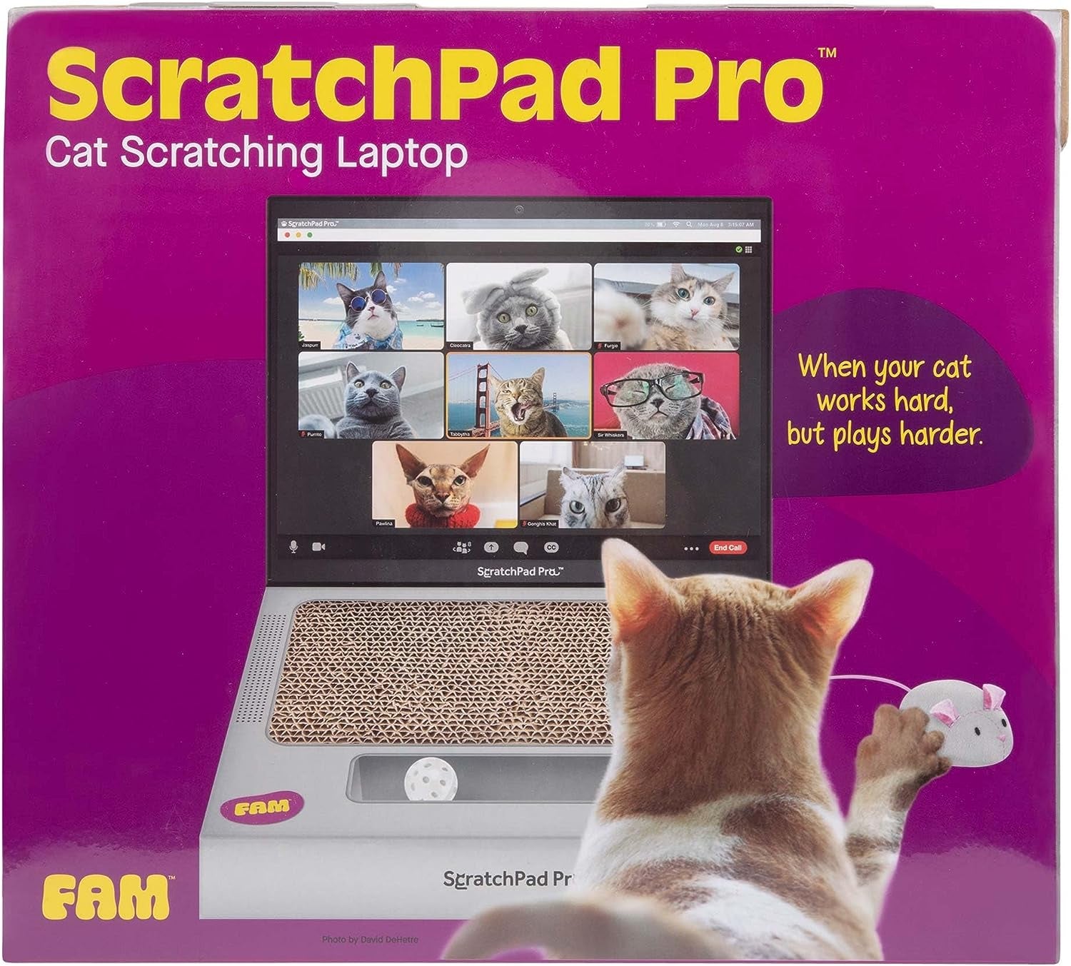 Scratchpad Pro — Cardboard Laptop Cat Scratcher, Interactive Cat Toys for Indoor Cats, Kitten Supplies and Cat Stuff by Relatable