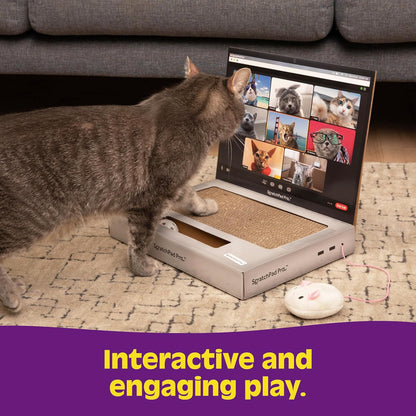Scratchpad Pro — Cardboard Laptop Cat Scratcher, Interactive Cat Toys for Indoor Cats, Kitten Supplies and Cat Stuff by Relatable